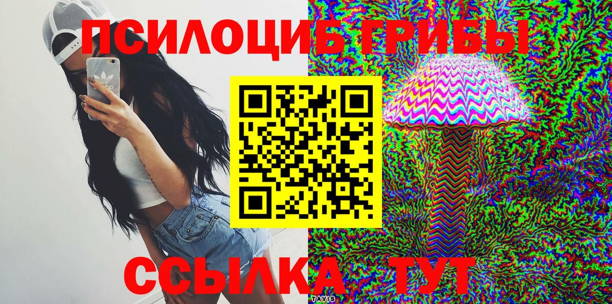 Галлюциногенные грибы Psilocybine cubensis Калининград