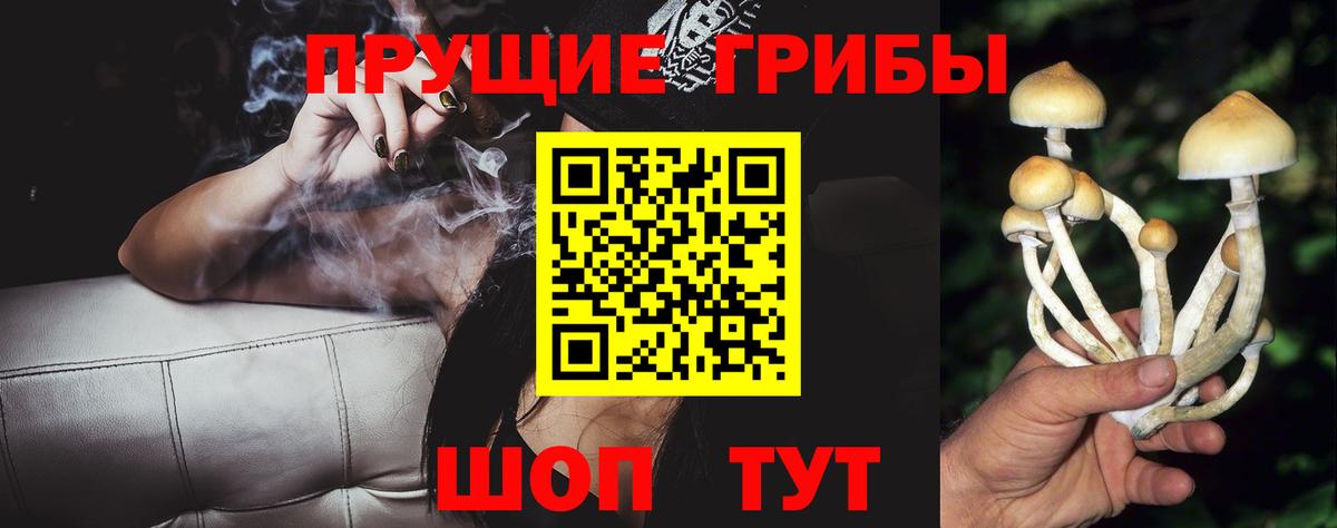 Калининград  Псилоцибиновые грибы мухоморы  купить закладку  Вход с VPN 